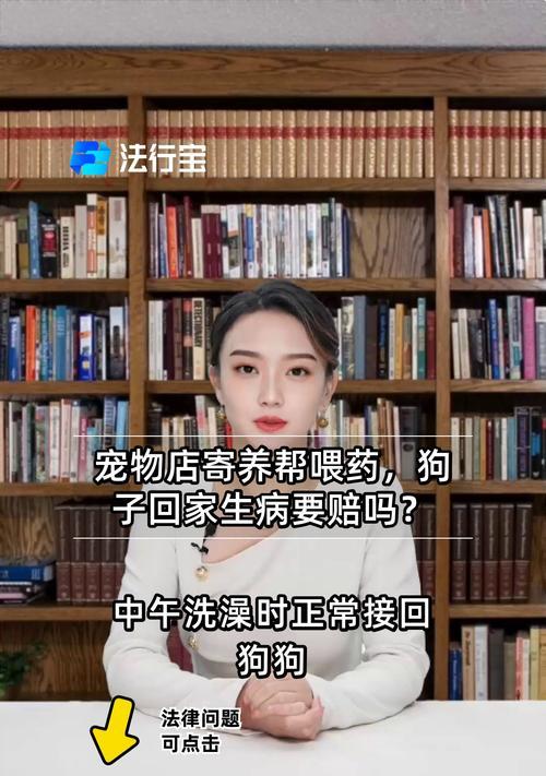 狗狗生病喂药的经验分享（宠物养护，健康为先）