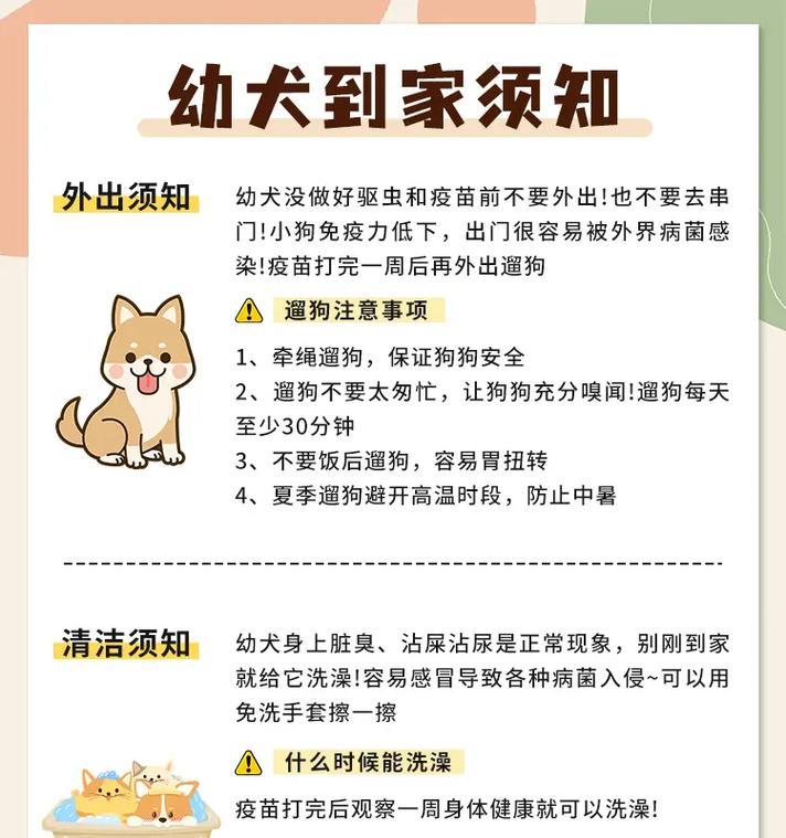 养狗之前的注意事项（以买狗要注意哪些？）