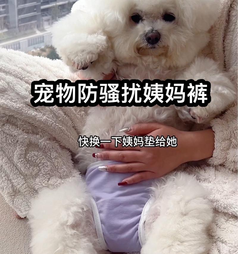 母狗产后多久能出门？（了解母狗产后护理及出门时间的重要性）