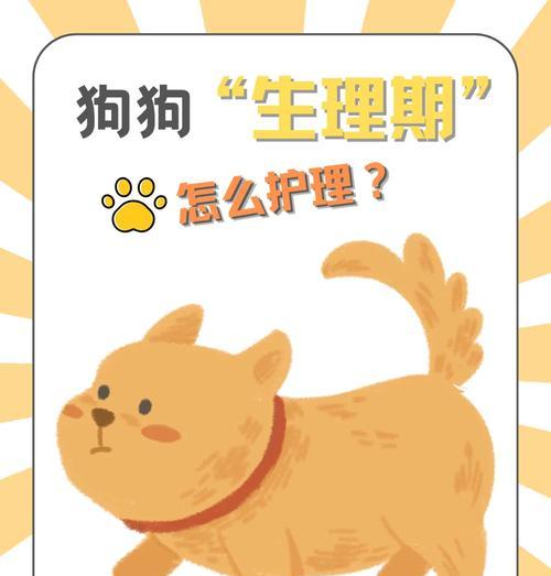 狗狗月经（探讨狗狗月经周期和保持卫生的最佳方式）