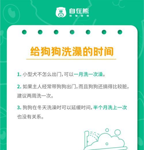 狗运动完回来多久洗澡才合适？（狗洗澡的最佳时机和注意事项）
