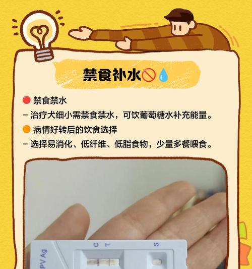 从细小到完全治愈（细小治愈时间揭秘，）