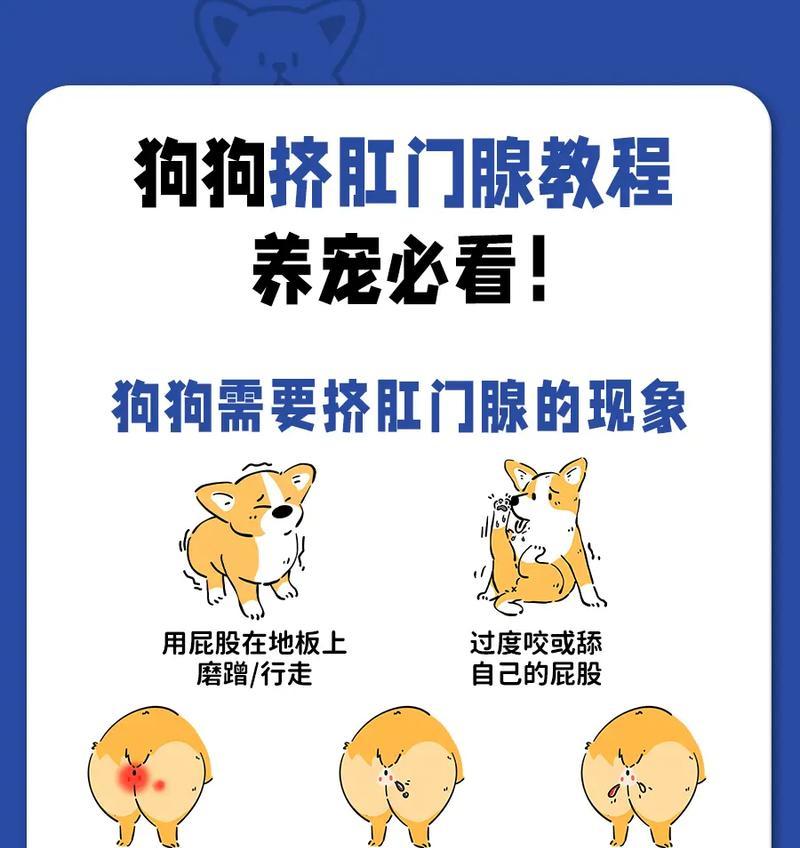 狗狗肛腺炎（了解适当的洗澡时间，帮助你的狗狗缓解肛腺炎的症状）