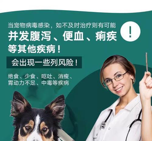 狗狗感冒康复后打疫苗的时间安排（了解狗狗感冒康复与疫苗注射间的间隔及相关注意事项）