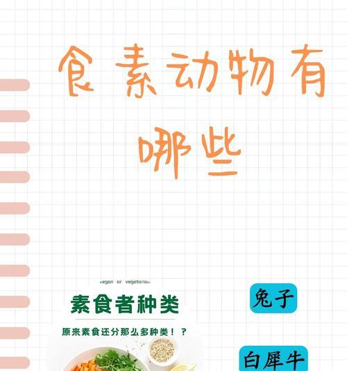 兔子的饮食乐园（探索兔子饮食的奥秘，提供健康的食谱和营养小贴士）