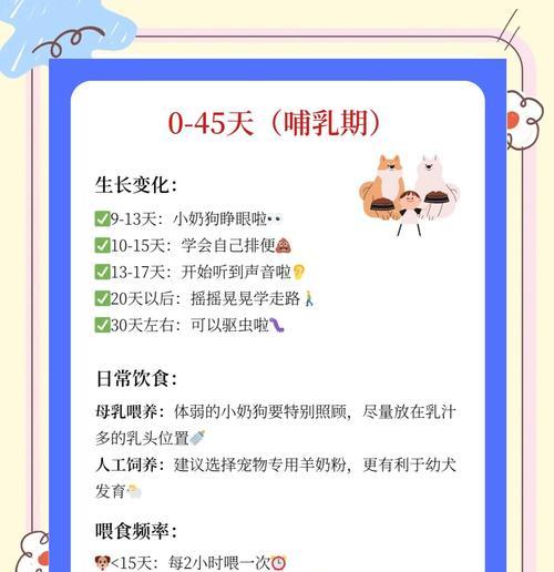 泰迪第一胎宝宝的产期及相关注意事项（了解泰迪繁殖周期与预防措施，为泰迪妈妈提供全面关怀）