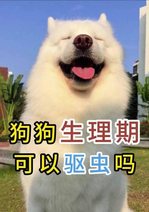 狗狗带回家后，需要多久进行驱虫？（驱虫时间表及关键考虑因素）