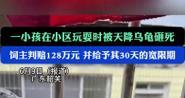 抓海龟判刑期限的界定及影响因素（海龟保护与刑期判定）