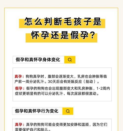 假孕的持续时间及其影响（揭秘假孕现象的时间跨度和对人们生活的影响）