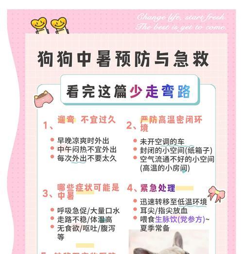 狗缺水会中暑吗？（了解狗缺水导致中暑的重要性）