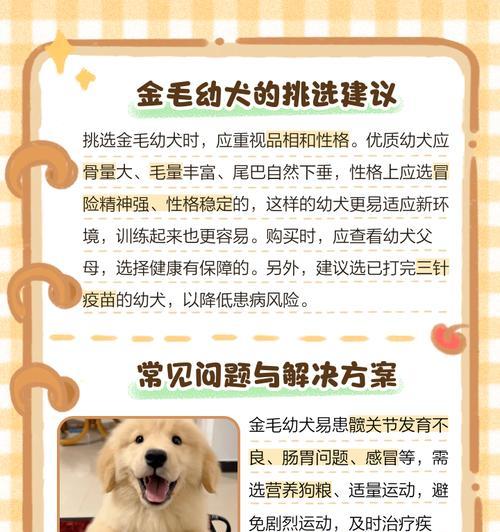 金毛脱毛需要多久？（了解金毛脱毛周期，让你的宠物毛发保持亮丽动人）