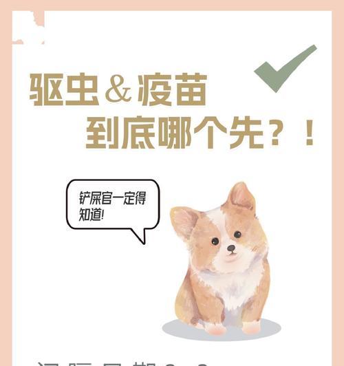 狗狗打疫苗的最佳时间（掌握狗狗打疫苗的最佳年龄段，让它健康成长）