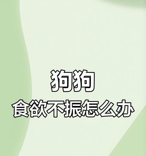 如何让狗狗慢慢吃饭，避免消化不良？（为你的狗狗提供健康的饮食方式）