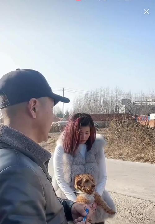 泰迪狗的疫苗接种时间及重要性（了解泰迪狗的疫苗接种时间表，守护它们的健康）