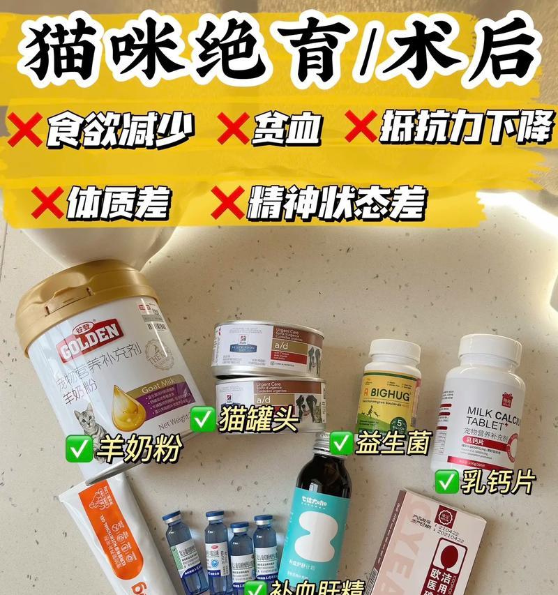 猫绝育后喷药需谨慎选择（猫绝育后何时开始喷药？）