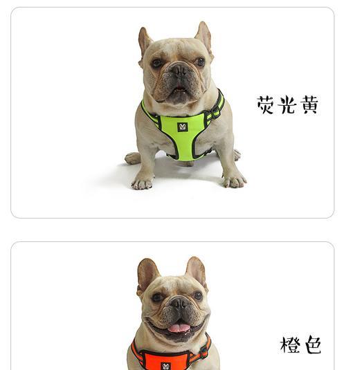英斗与法斗（比较英斗和法斗的差异，了解其价格差异）