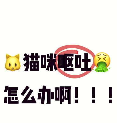 猫咪吐毛的频率有多高？（了解猫咪吐毛频率的重要性及如何减少）