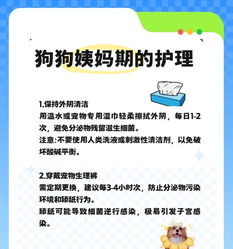 狗狗生理期（了解狗狗的生理周期和如何正确照顾他们）
