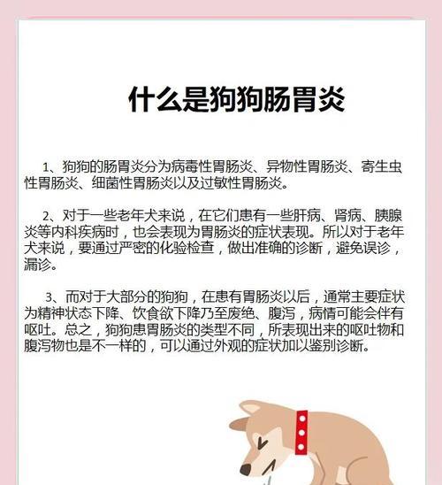 狗狗急性胃炎（狗狗急性胃炎康复时间取决于综合因素）