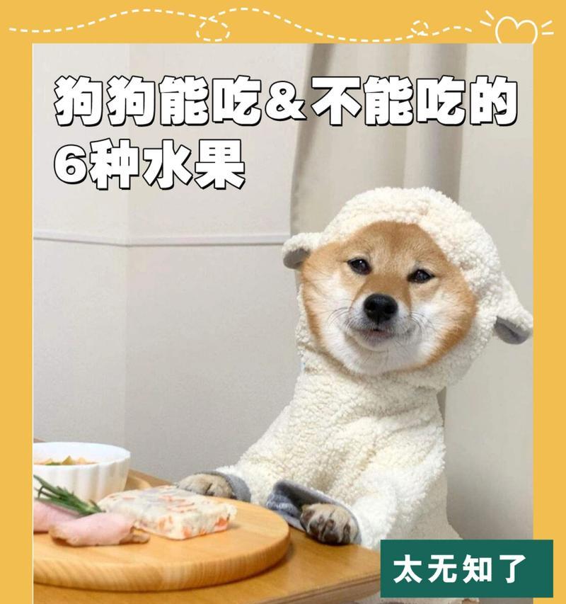 狗狗不能吃的6种“致命”水果（了解狗狗不能吃的水果，保护你的毛孩健康）