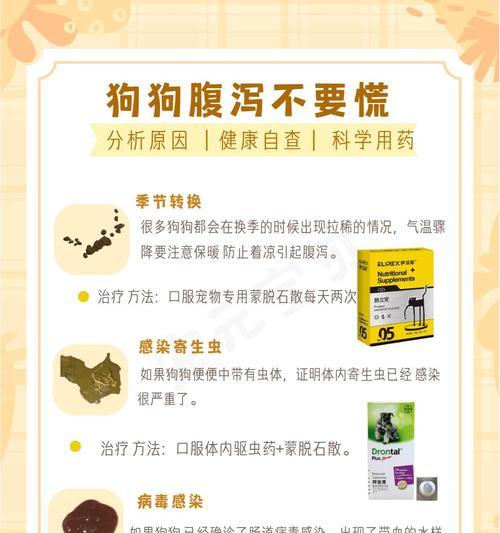 小狗驱虫后多久不拉稀？（养狗人士必看，小狗驱虫后何时正常？）