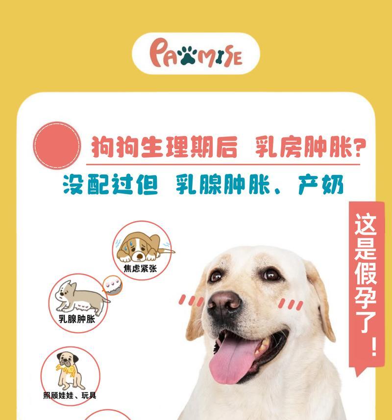 狗狗生理期的持续时间及管理方法解析（了解狗狗生理期的周期，做好细致的护理工作）