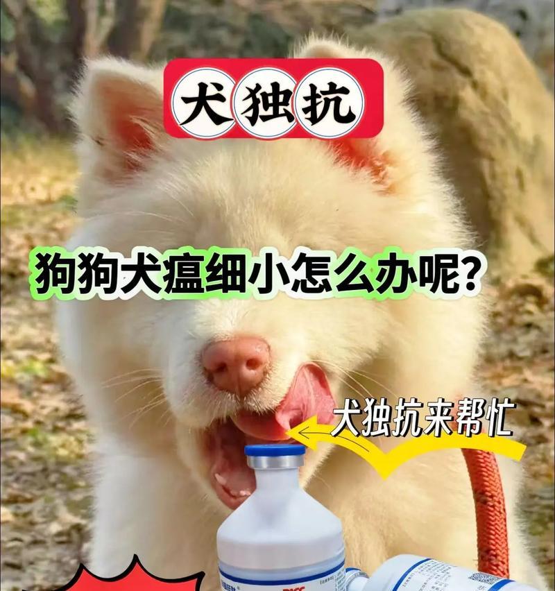 细小病治疗时间及关键因素分析（以细小病治愈为目标，关键在于科学管理与有效治疗）