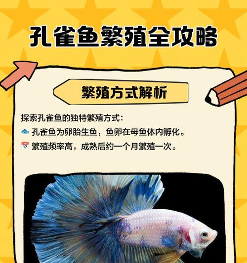 孔雀鱼繁殖奇观（探秘孔雀鱼怀孕周期及幼鱼成长速度，了解这一小生命的壮丽变化）