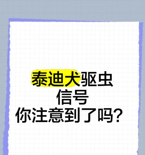 泰迪成年后应每多久进行体内驱虫？（了解泰迪成年后体内驱虫的时间间隔及注意事项）
