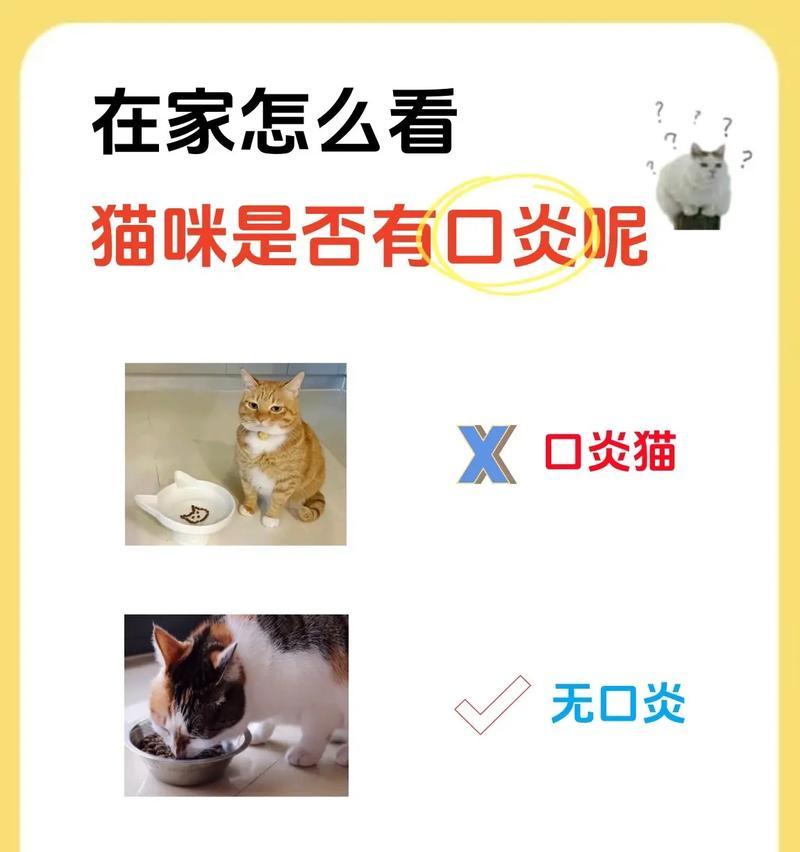 猫咪口炎对进食的影响及恢复时间（口炎患猫咪的饮食困扰与康复进程）