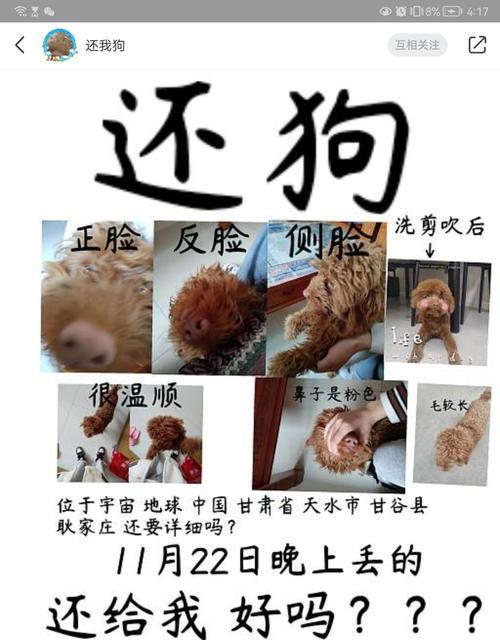 如何制止狗狗爱撕纸？（有效方法和技巧帮助你解决这一问题）