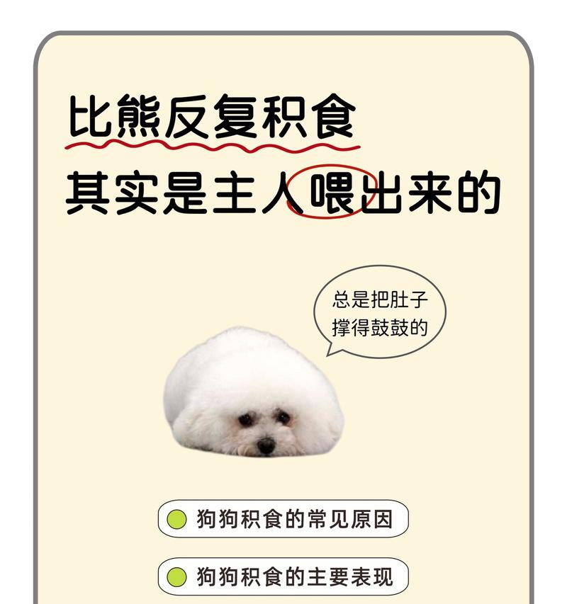 哈士奇没有胃口的原因及解决办法（探究哈士奇饮食问题的根源，解决宠物不吃饭的困扰）