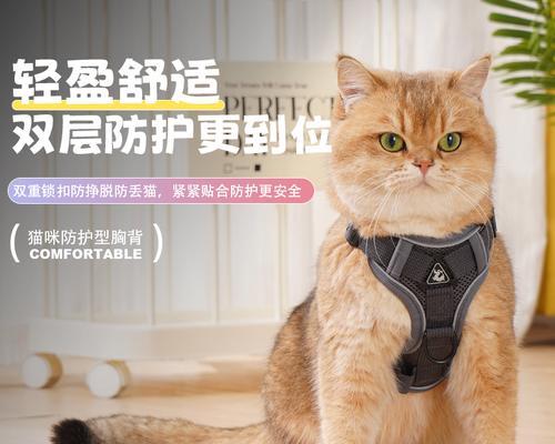 让你的猫瞬间变时尚宠物！掌握正确的猫牵引绳使用技巧（小贴士教你如何给猫套上背带，）