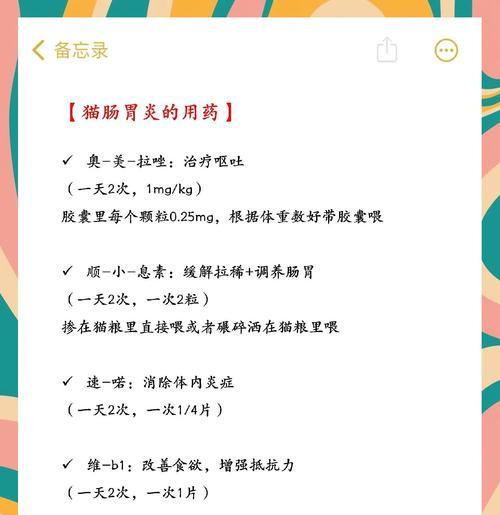 猫咪肠炎的恢复及预防方法（紧急控制措施和预防病情加重）