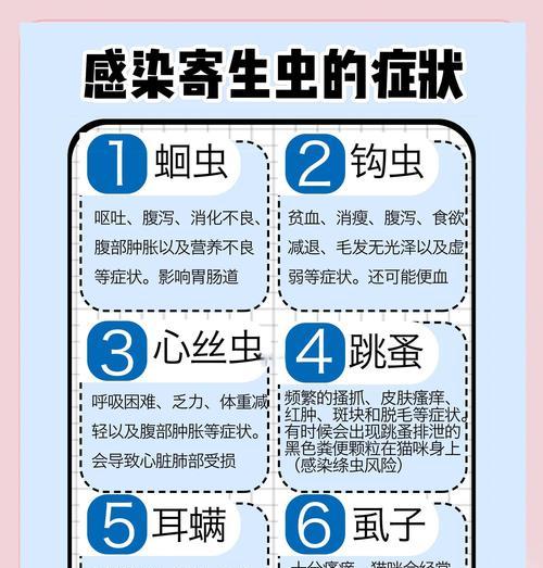 猫内外驱虫的必要性与选择（了解猫内外驱虫的重要性及药物选择）