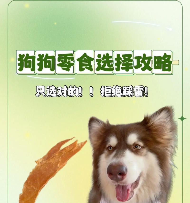 探索狗狗的美味零食世界（了解狗狗适合吃的零食种类及好处）
