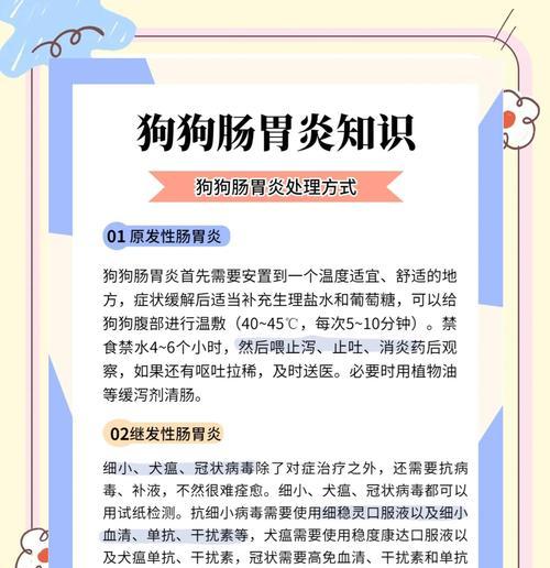 狗狗为何吃完东西肚子咕噜响？（狗狗急性肠胃炎的治疗办法分享）