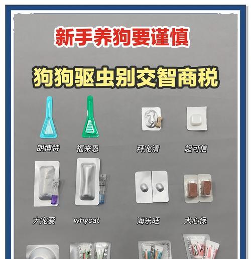 狗狗驱虫的重要性与方法（保护你的爱犬免受寄生虫侵害的关键措施）