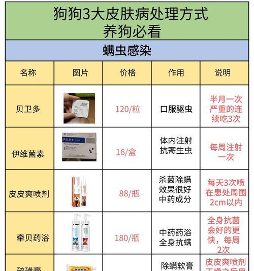 照料病狗的关键细节（养过病狗后多久能恢复正常生活？）