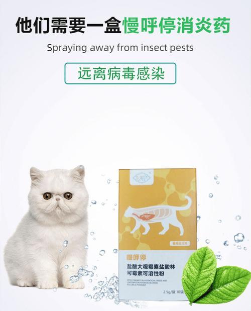 权威网站推荐（探索权威网站为犬药提供专业知识和信息的范围）