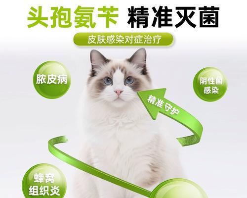 救助受伤化脓的狗狗（有效药物和措施帮助狗狗康复）