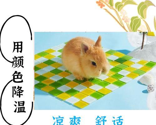 兔子中暑的危害与防护方法（为什么兔子容易中暑？如何保护兔子不中暑？）