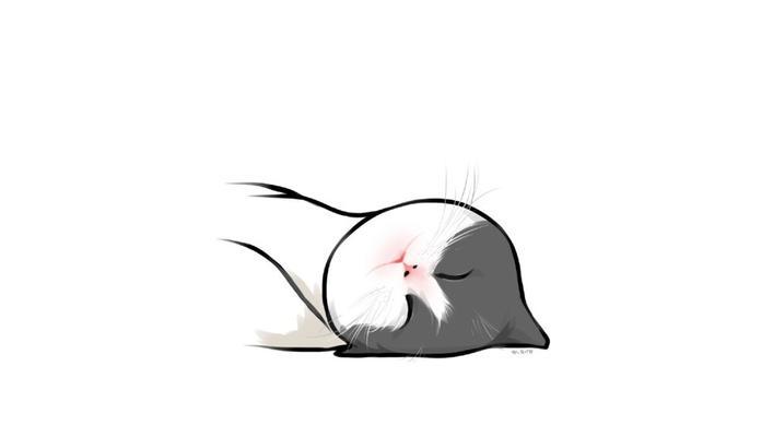 猫咪世界的肖像画（探索不同猫咪肖像画的风格与魅力）