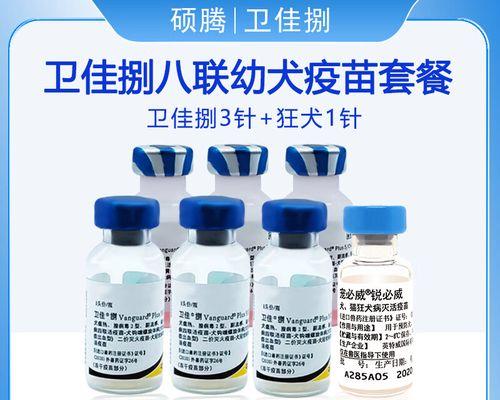 狗狗细小疫苗接种时间及注意事项（打疫苗的关键时间点与细节，保护狗狗免受细小病毒的困扰）
