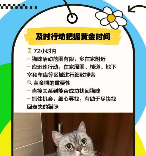 家猫跑出去多久会回来？（探索家猫世界的奇妙之旅）