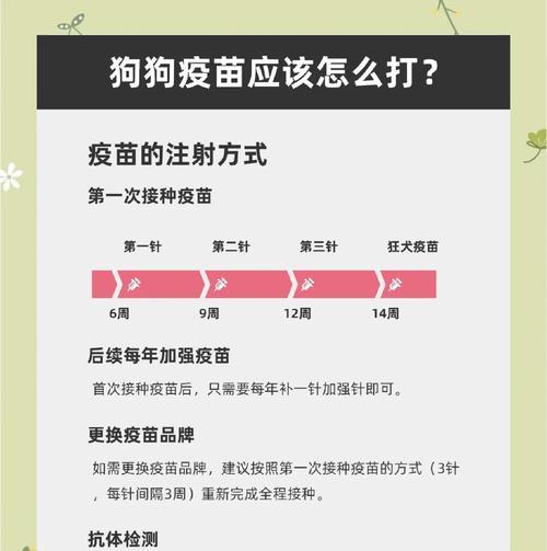 小狗疫苗后出门时间安排（科学合理的小狗外出计划，宠物健康的保证）