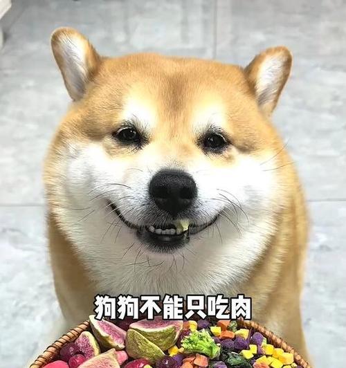 狗可以吃哪些蔬菜水果？（了解狗狗的膳食需求，为其选择合适的蔬菜水果）