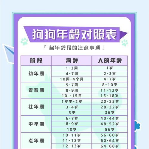 边牧学习的时间需多久？（掌握边牧学习所需时间的关键因素是什么？）