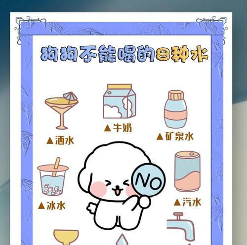 狗狗运动后多久喂水才合适？（科学给狗狗喂水，关键是时机把握好）