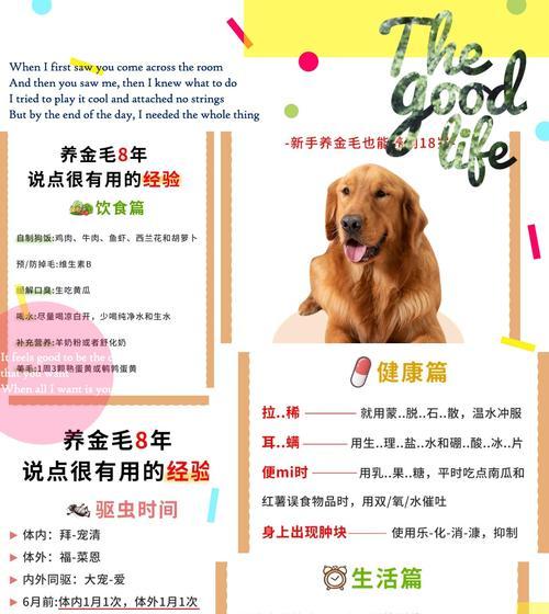 金毛犬的换毛周期是多久？（了解金毛犬换毛周期，帮助你更好地照顾宠物）